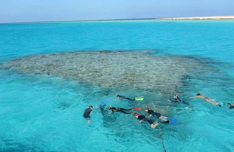 Ägyptische Malediven - Ausflug zu den Qulaan Inseln Marsa Alam  