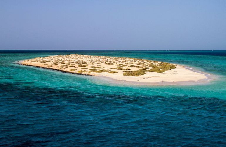 Ausflug-Qulaan Inseln zum Schnorcheln von Marsa Alam aus