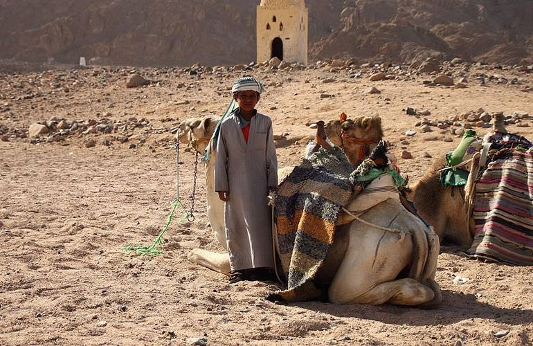 Buggy Fahren am Nachmittag durch die Wüste von Marsa Alam