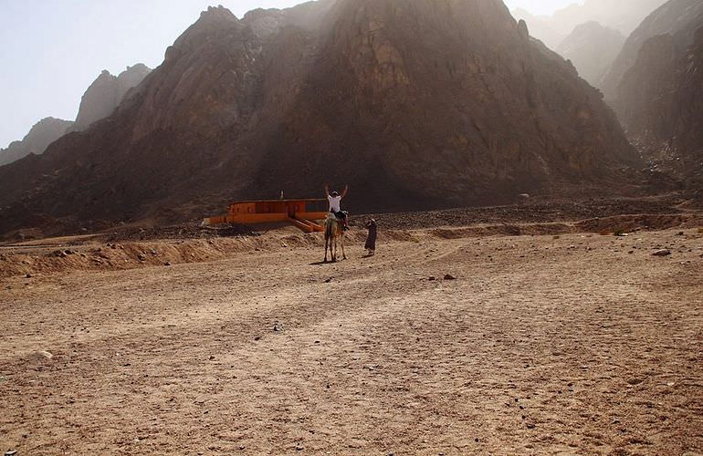 Buggy Tour in Marsa Alam am Morgen mit Kamelreiten