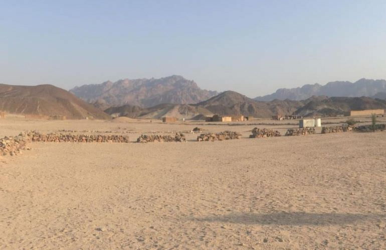 Buggy Tour in Marsa Alam am Morgen mit Kamelreiten