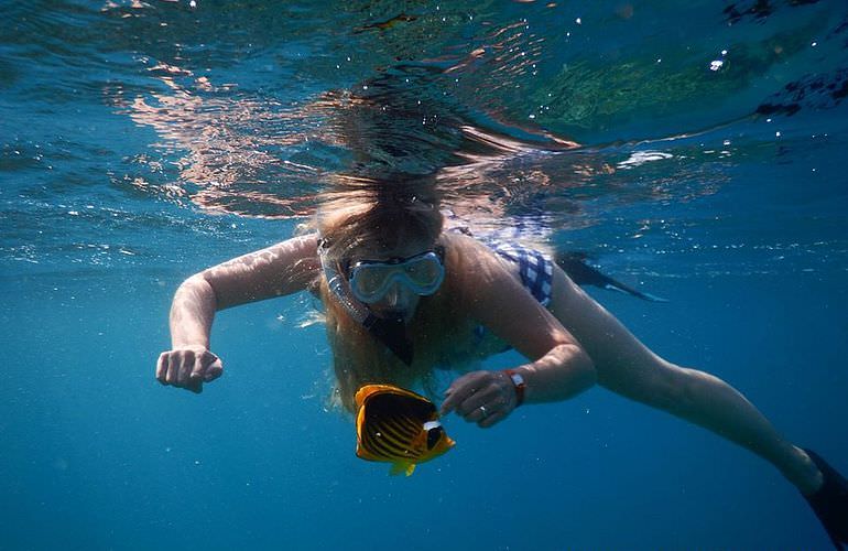 Delfin Tour in Marsa Alam - Schwimmen mit freilebenden Delfinen