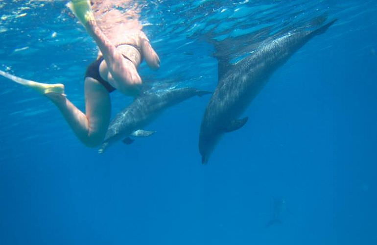 Dolphin House Reef - Ganztägiger Schnorchelausflug Marsa Alam