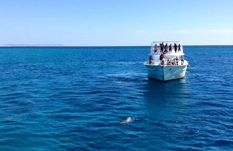 Tagesausflug zu den 3 Inseln von Marsa Alam aus