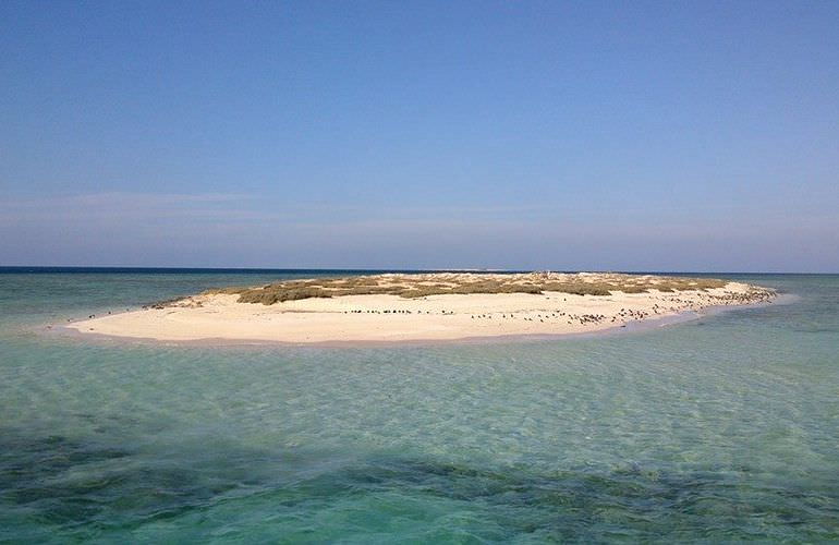 Ausflug zu den Hamata-Inseln in Marsa Alam