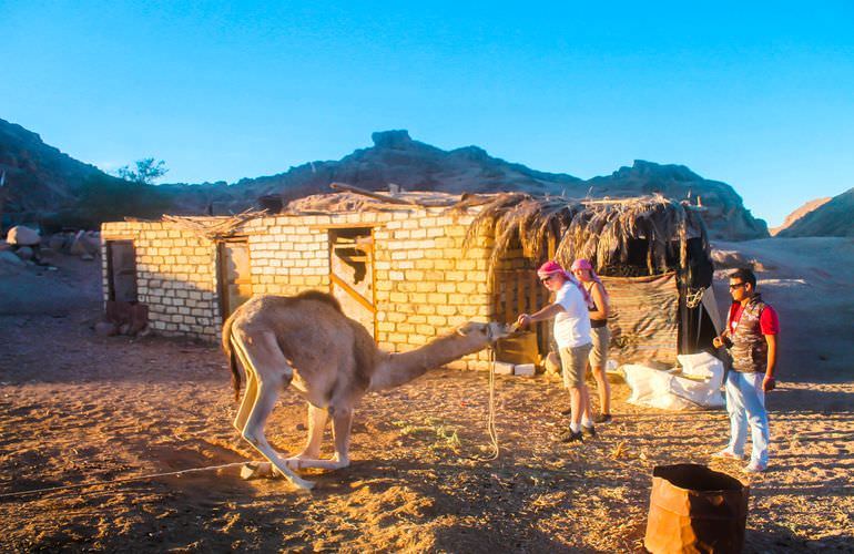 Jeep Safari in Marsa Alam mit Kamelreiten & BBQ Abendessen