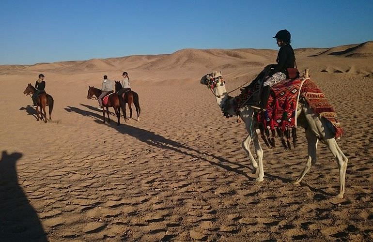 Kamelreiten in Marsa Alam: Reiten am Strand oder in der Wüste