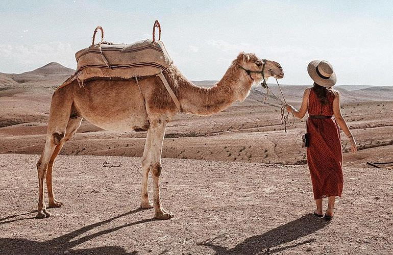 Kamelreiten in Marsa Alam: Reiten am Strand oder in der Wüste
