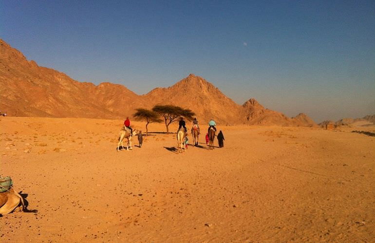 Kombi-Wüstentour in El Quseir: Quad, Jeep, Buggy und Kamelreiten