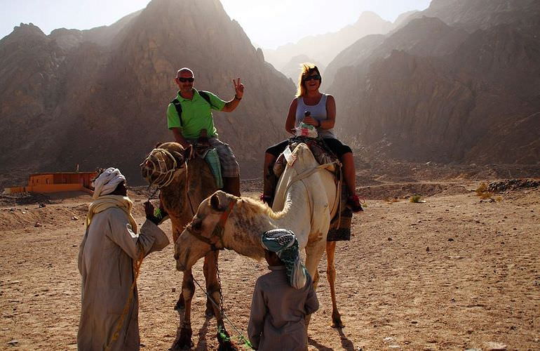 Kombi-Wüstentour in Marsa Alam: Quad, Jeep und Kamelreiten