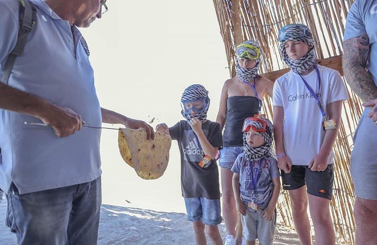 Kombi-Wüstentour in Marsa Alam: Quad, Jeep und Kamelreiten