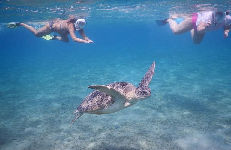 Ausflug nach Marsa Mubarak & Marsa Shoona von Marsa Alam aus
