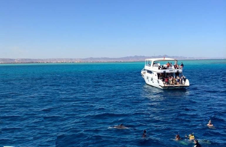 Schnorchelausflug zur Marsa Mubarak Bucht von Marsa Alam aus