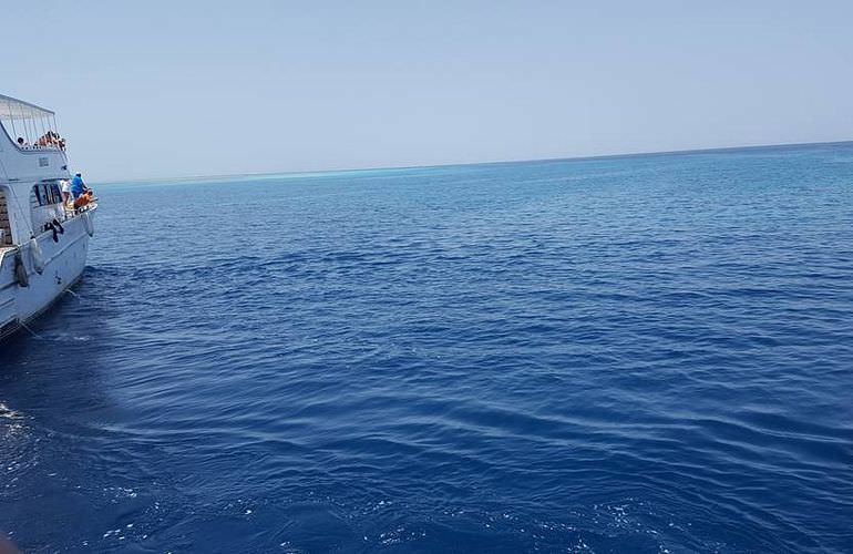 Schnorcheln in der Marsa Mubarak Bucht - Ausflug ab Marsa Alam