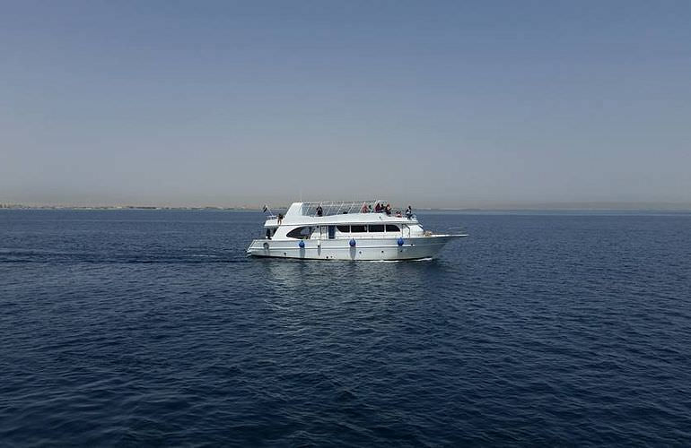 Ausflug nach Marsa Mubarak & Marsa Shoona von Marsa Alam aus