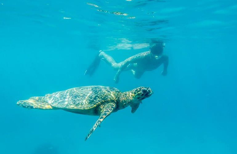 Ausflug nach Marsa Mubarak & Marsa Shoona von Marsa Alam aus