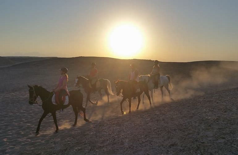 Pferde Reiten in Marsa Alam: Reiten am Strand oder in der Wüste