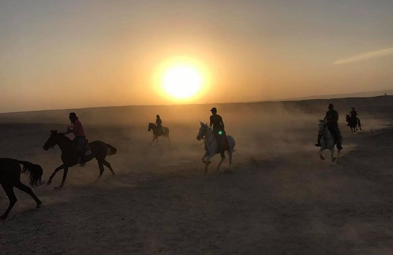 Pferde Reiten in Marsa Alam: Reiten am Strand oder in der Wüste