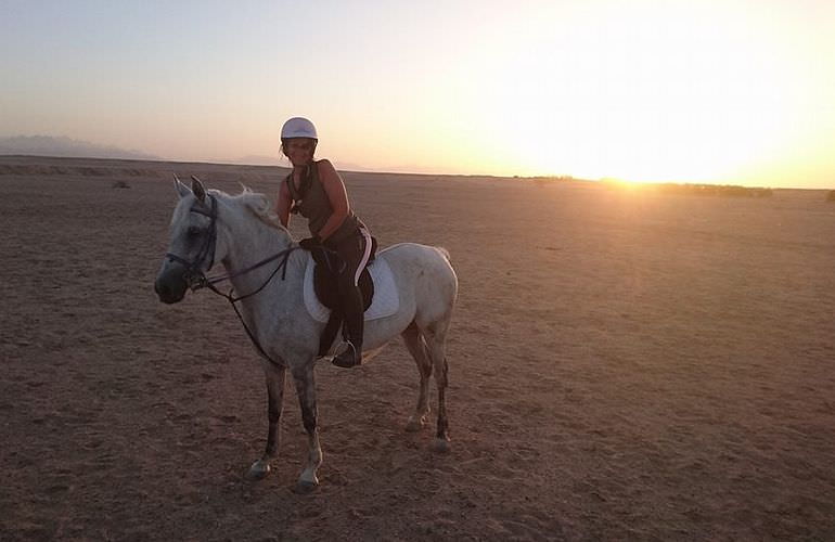 Pferde Reiten in Marsa Alam: Reiten am Strand oder in der Wüste