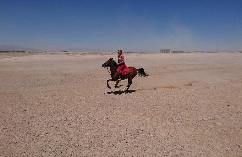 Pferde Reiten in Marsa Alam: Reiten am Strand oder in der Wüste