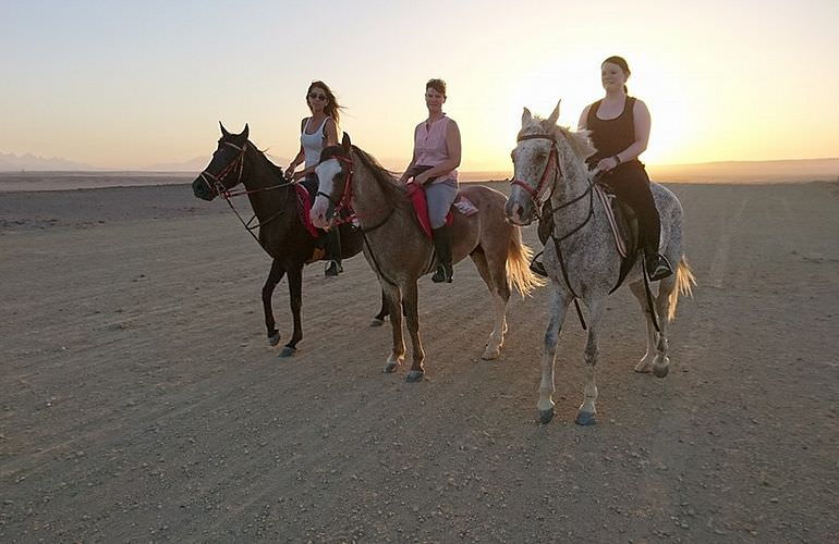 Pferde Reiten in Marsa Alam: Reiten am Strand oder in der Wüste
