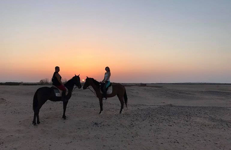 Pferde Reiten in Marsa Alam: Reiten am Strand oder in der Wüste