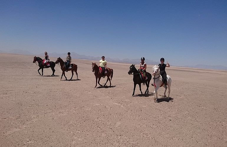 Pferde Reiten in Marsa Alam: Reiten am Strand oder in der Wüste