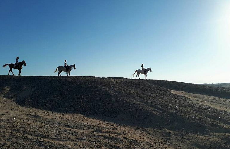 Pferde Reiten in Marsa Alam: Reiten am Strand oder in der Wüste