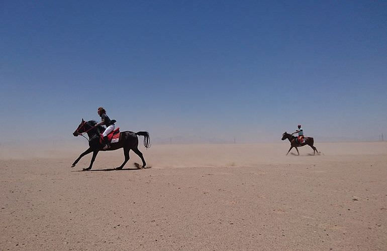 Pferde Reiten in Marsa Alam: Reiten am Strand oder in der Wüste