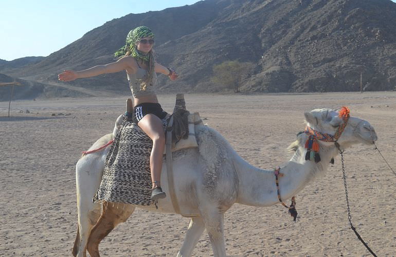 3-stündige Quad Tour bei Sonnenuntergang ab Marsa Alam