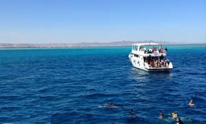 Schnorchelausflug zur Marsa Mubarak Bucht von Marsa Alam aus