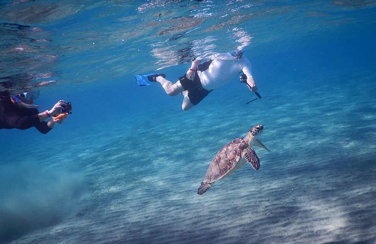 Schnorcheln mit Schildkröten in der Marsa Mubarak Bucht