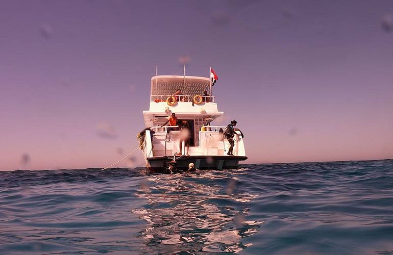 Schnorcheln mit Schildkröten in der Marsa Mubarak Bucht