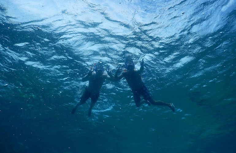 Schnorcheln mit Schildkröten in der Marsa Mubarak Bucht