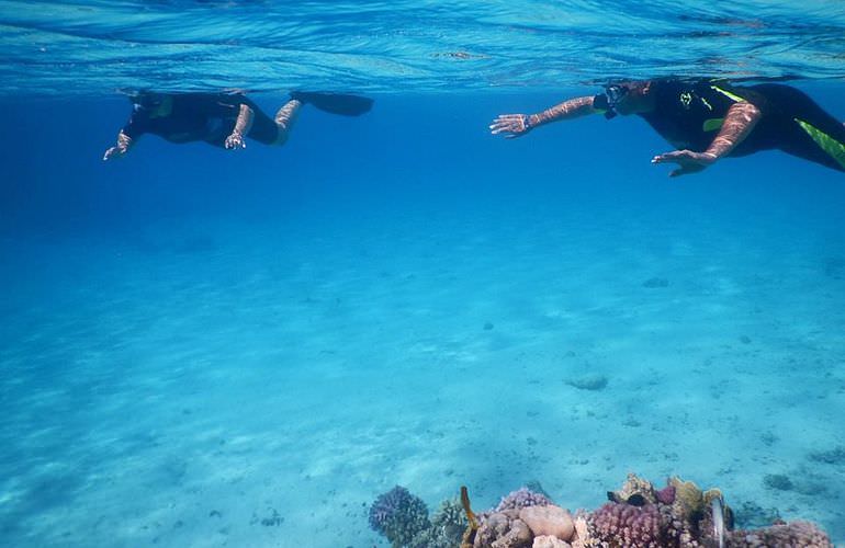 Ausflug Abu Dabab - Schnorcheln mit Schildkröten Marsa Alam