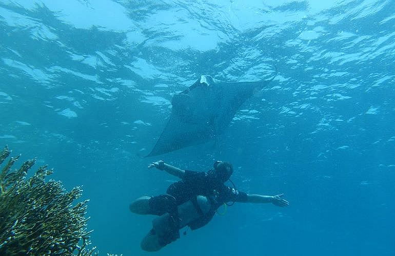 PADI Scuba Diver Kurs in Marsa Alam - Schnuppertauchkurs 1 Tag