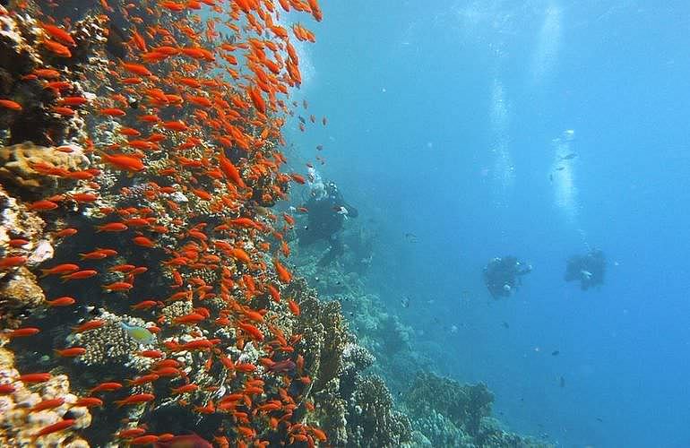 PADI Scuba Diver Kurs in Marsa Alam - Schnuppertauchkurs 1 Tag