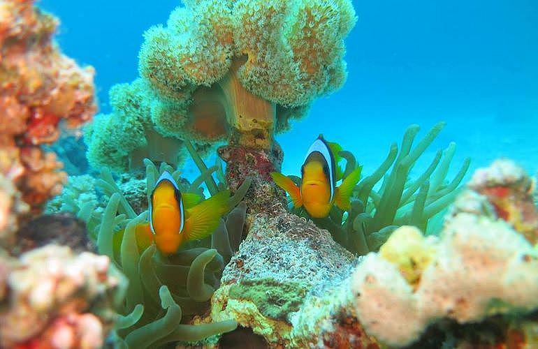 PADI Open Water Diver, der Einsteiger Tauchkurs in Marsa Alam