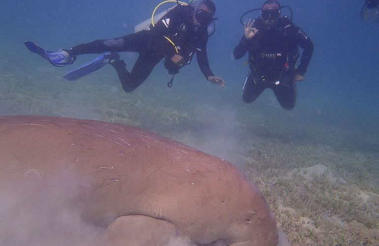 PADI Open Water Diver, der Einsteiger Tauchkurs in Marsa Alam