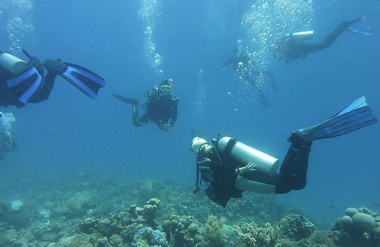 Tauchausflüge für Fortgeschrittene und Anfänger ab Marsa Alam 