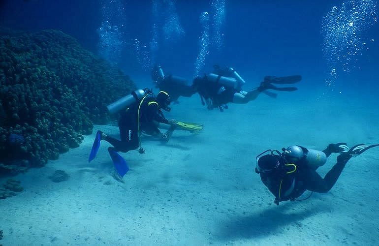 Fun Diving Marsa Alam - Ganztägige Tauchfahrt mit 2 Tauchgängen