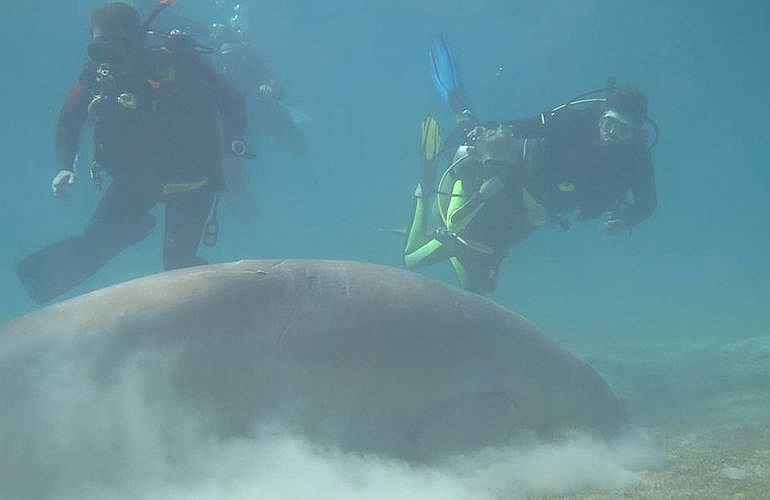 PADI Open Water Diver, der Einsteiger Tauchkurs in Marsa Alam