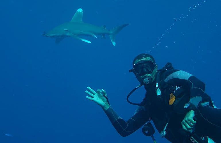 Auffrischungskurs: PADI Scuba Review Programm in Marsa Alam  