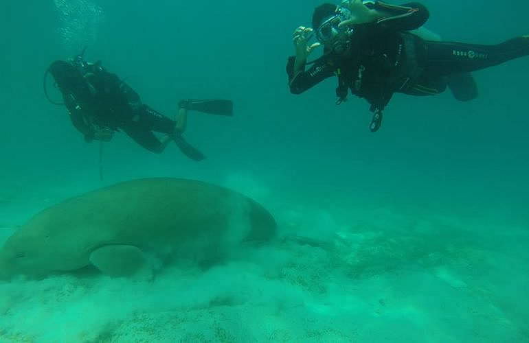 Tagesausflug Tauchen in Marsa Alam - Tauchen lernen