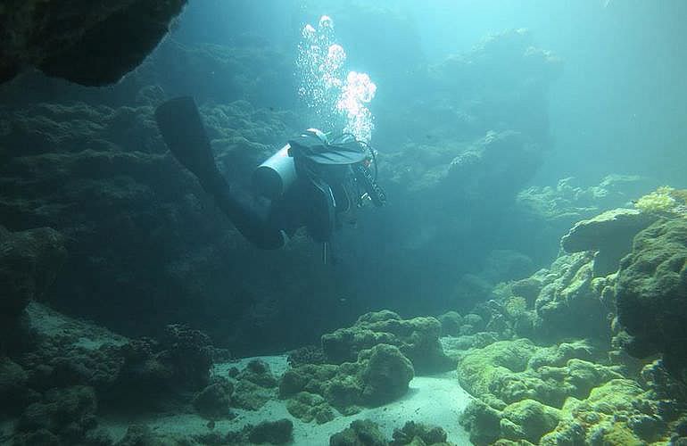 PADI Open Water Diver, der Einsteiger Tauchkurs in Marsa Alam