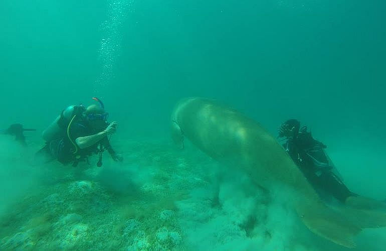 Auffrischungskurs: PADI Scuba Review Programm in Marsa Alam  