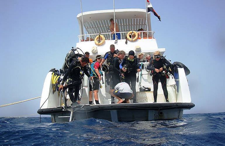 PADI Scuba Diver Kurs in Marsa Alam - Schnuppertauchkurs 1 Tag
