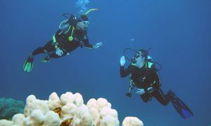 Tagesausflug Tauchen in Marsa Alam - Tauchen lernen