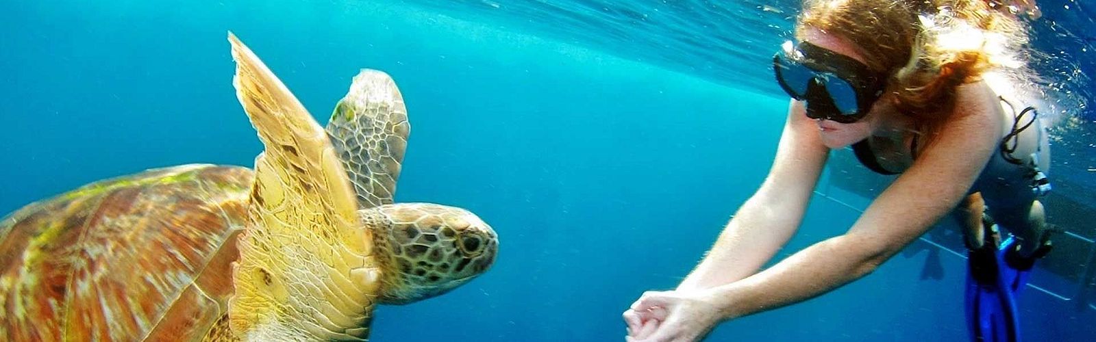 Die Top 10 Schnorchelausflüge & Wassersport in Marsa Alam 2025