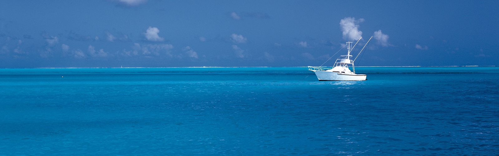 Die Top 10 Ausflüge und Sehenswürdigkeiten in Port Ghalib 2025